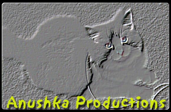 Anushka Productions